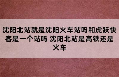 沈阳北站就是沈阳火车站吗和虎跃快客是一个站吗 沈阳北站是高铁还是火车